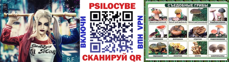 Псилоцибиновые грибы GOLDEN TEACHER  Купить  Петропавловск-Камчатский 